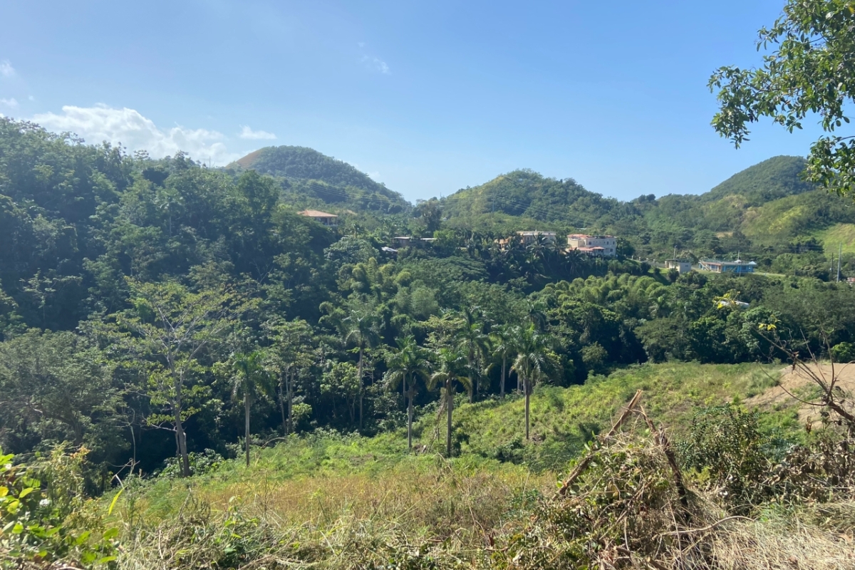 2.6 Acres in Calvache 