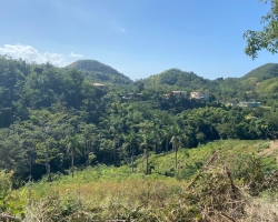 48426, 2.6 Acres in Calvache 