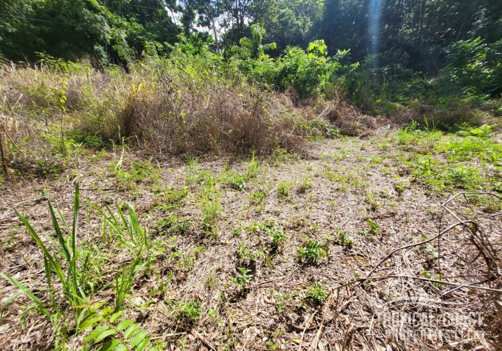 20240809_095135 20240809_095135