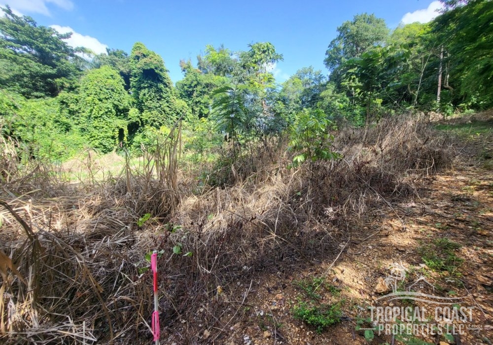 20240809_095402 20240809_095402