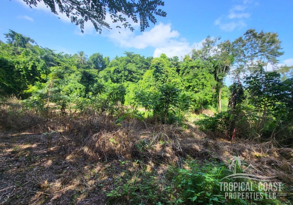 20240809_095440 20240809_095440