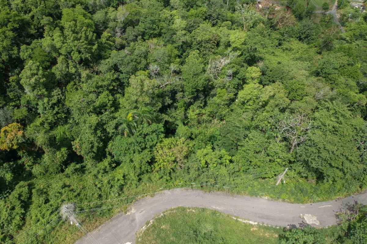 5 B lote 1394m 5 B lote 1394m