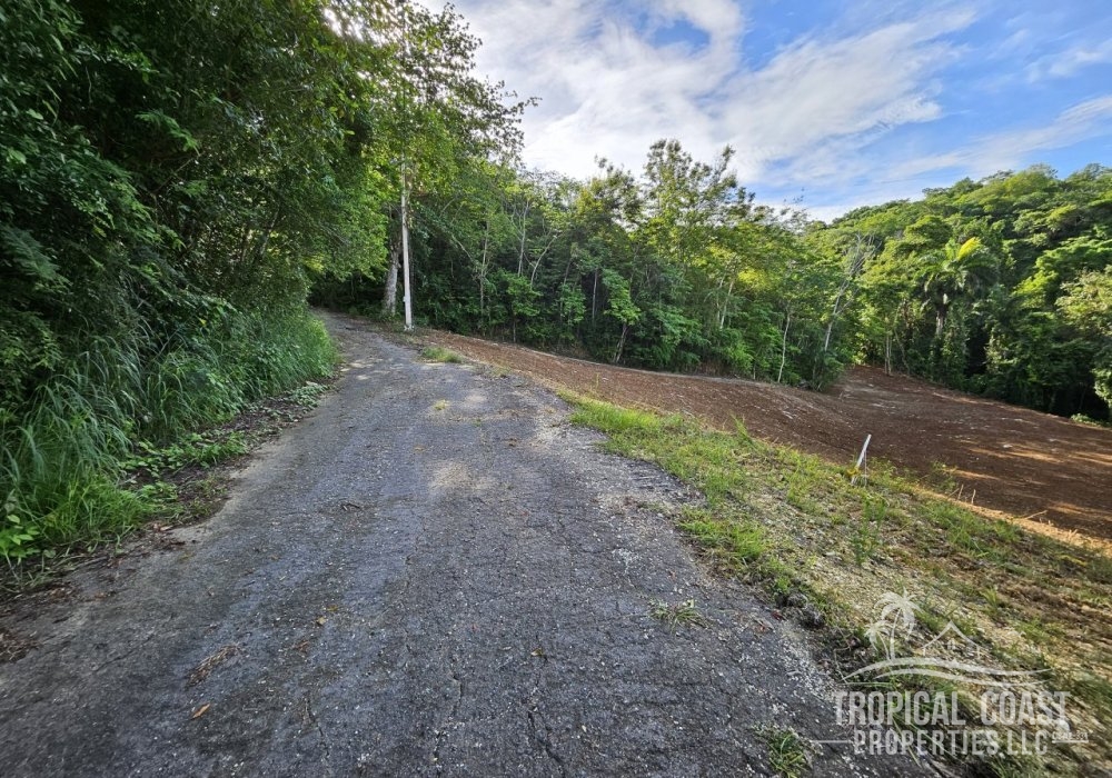 20250530_082119 20250530_082119