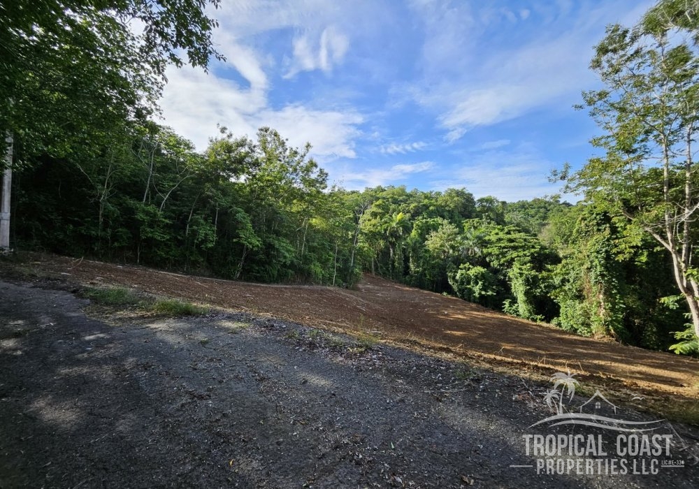 20250530_082128 20250530_082128