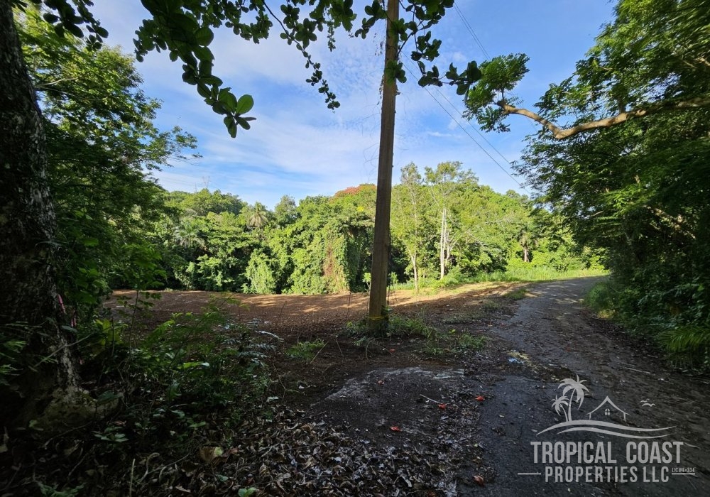 20250530_082156 20250530_082156