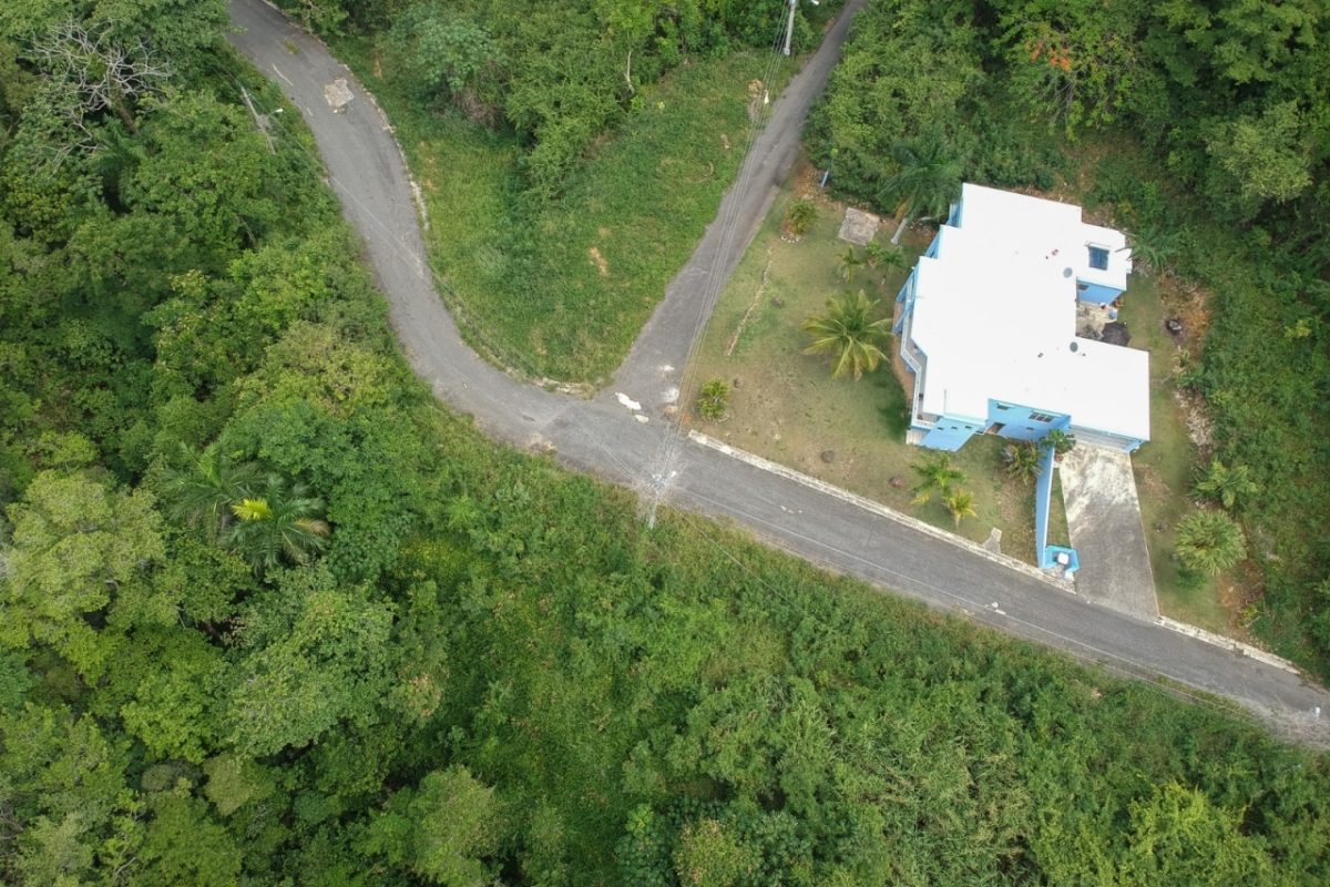 5+4 B Lotes 5+4 B Lotes