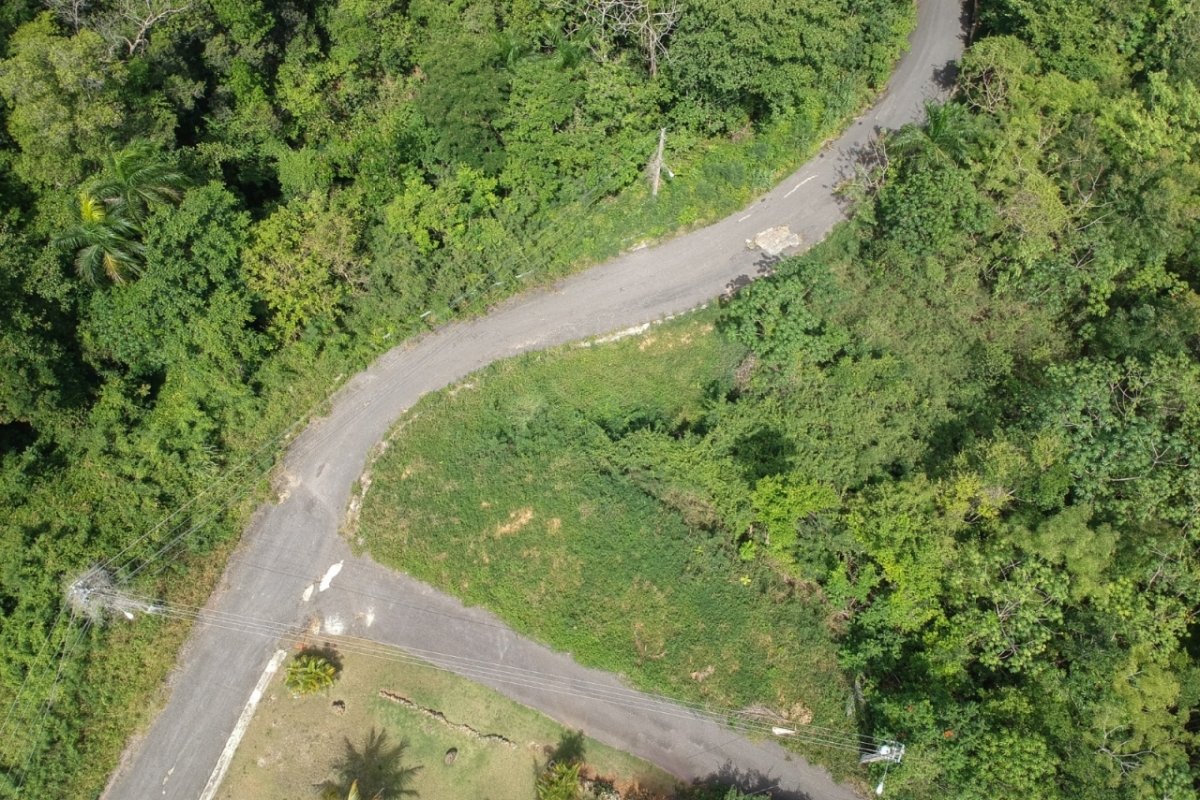 WhatsApp Image 2022-06-08 at 10.38.33 PM WhatsApp Image 2022-06-08 at 10.38.33 PM