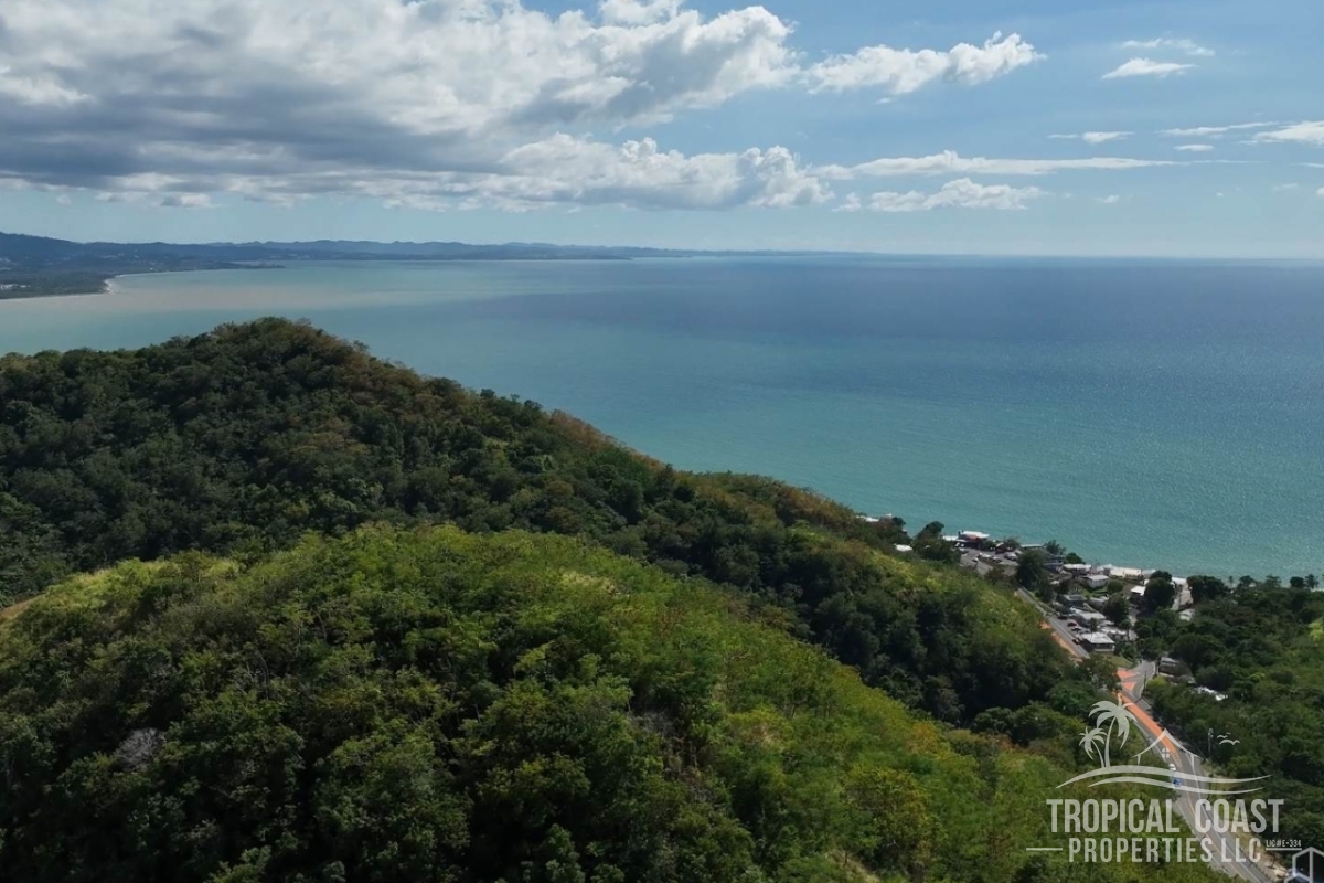 wm_full (77) wm_full (77)