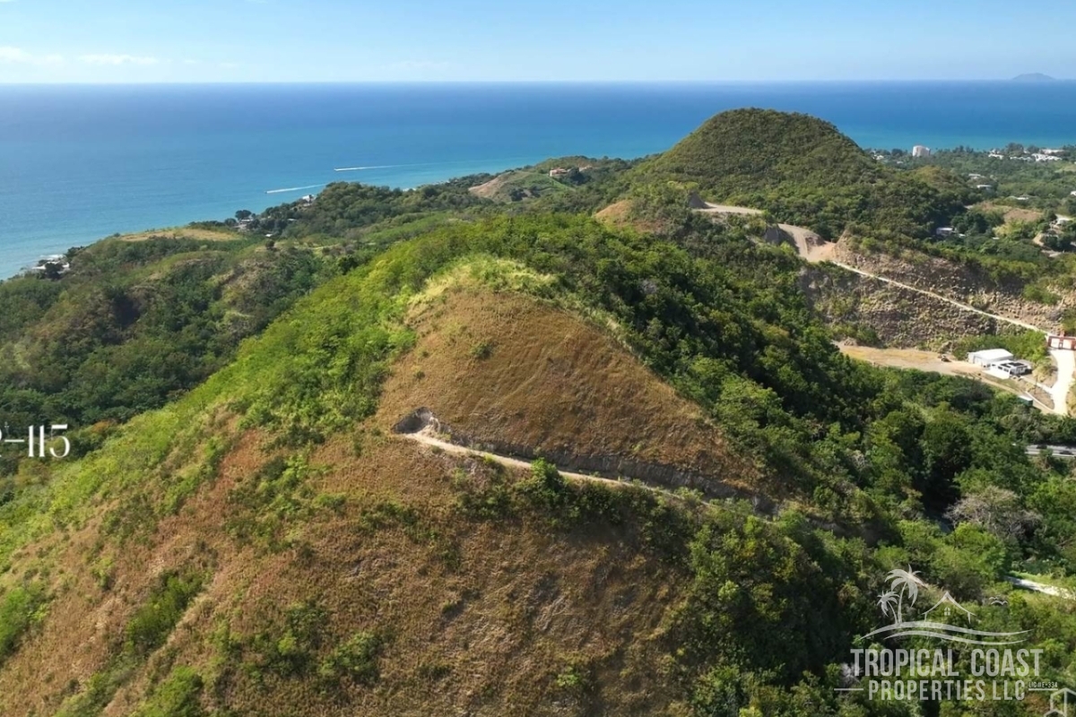 wm_full (79) wm_full (79)