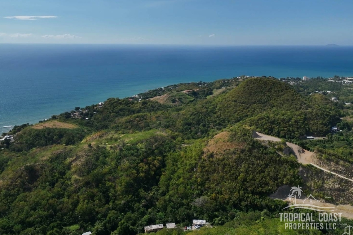 wm_full (80) wm_full (80)