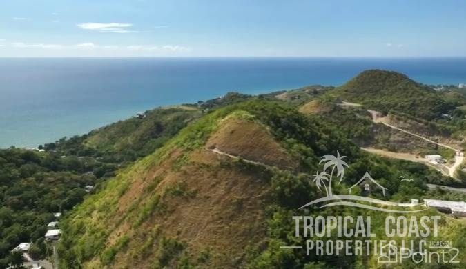 wm_full (81) wm_full (81)