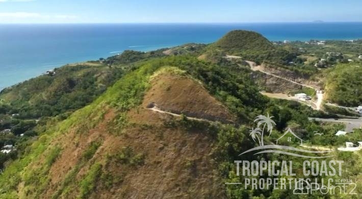 wm_full (82) wm_full (82)