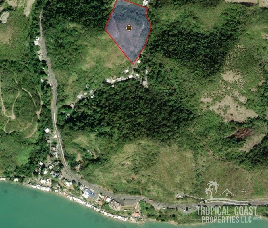 wm_full (83) wm_full (83)