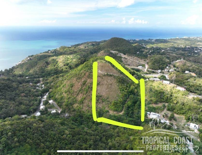 wm_full (84) wm_full (84)