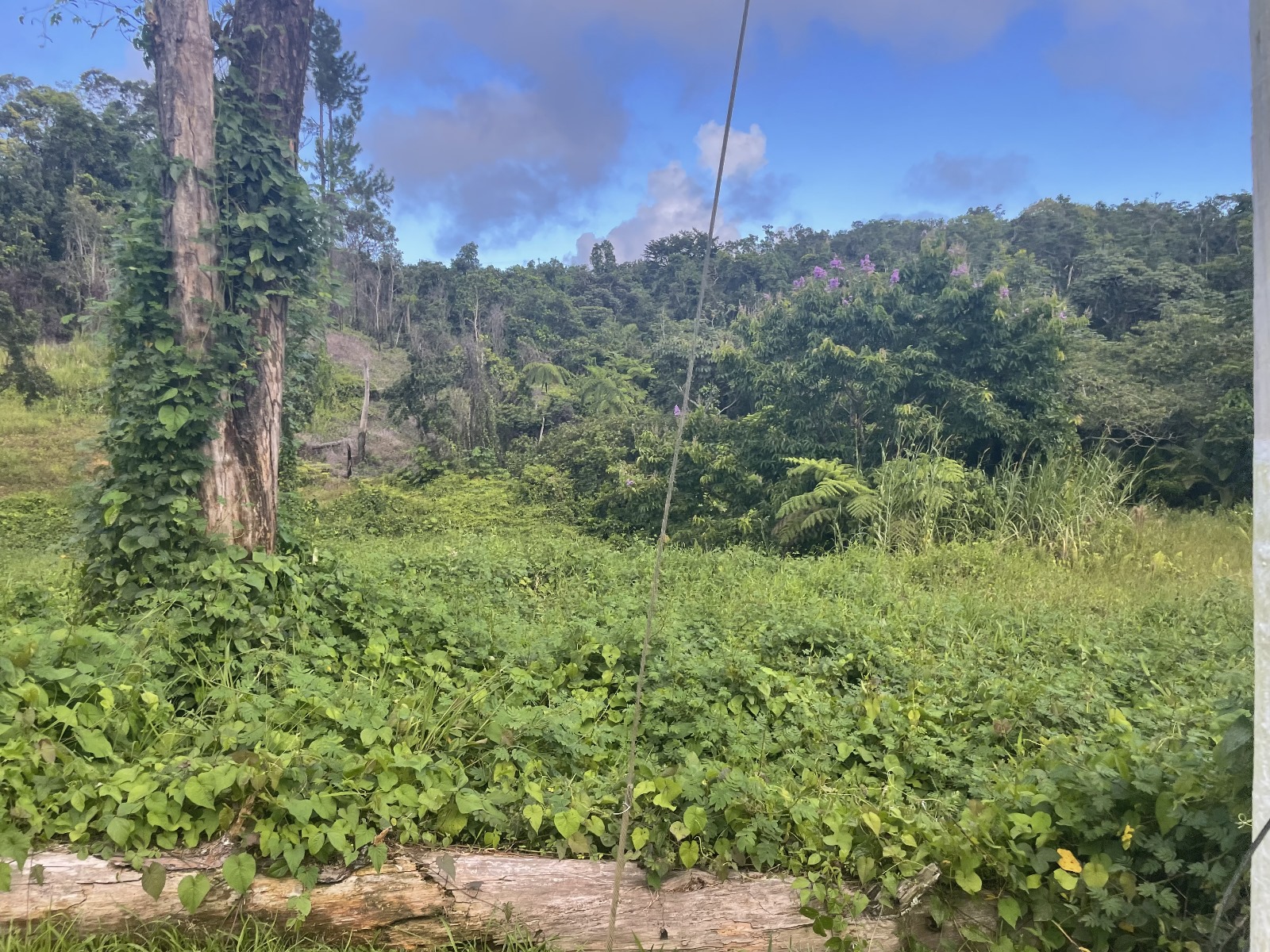 WhatsApp Image 2024-03-14 at 5.39.20 PM (1) (1) WhatsApp Image 2024-03-14 at 5.39.20 PM (1) (1)