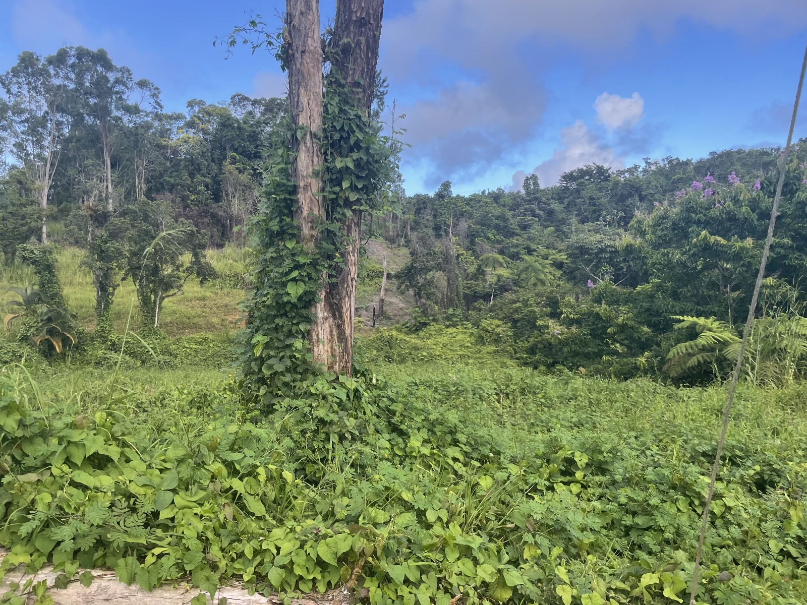 WhatsApp Image 2024-03-14 at 5.39.20 PM (2)