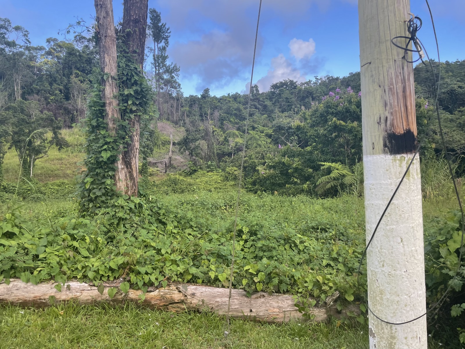 WhatsApp Image 2024-03-14 at 5.39.14 PM (1)