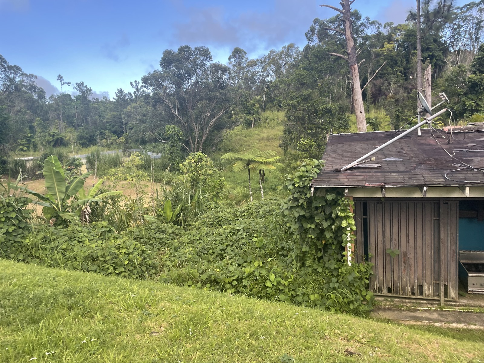 WhatsApp Image 2024-03-14 at 5.39.19 PM (1)