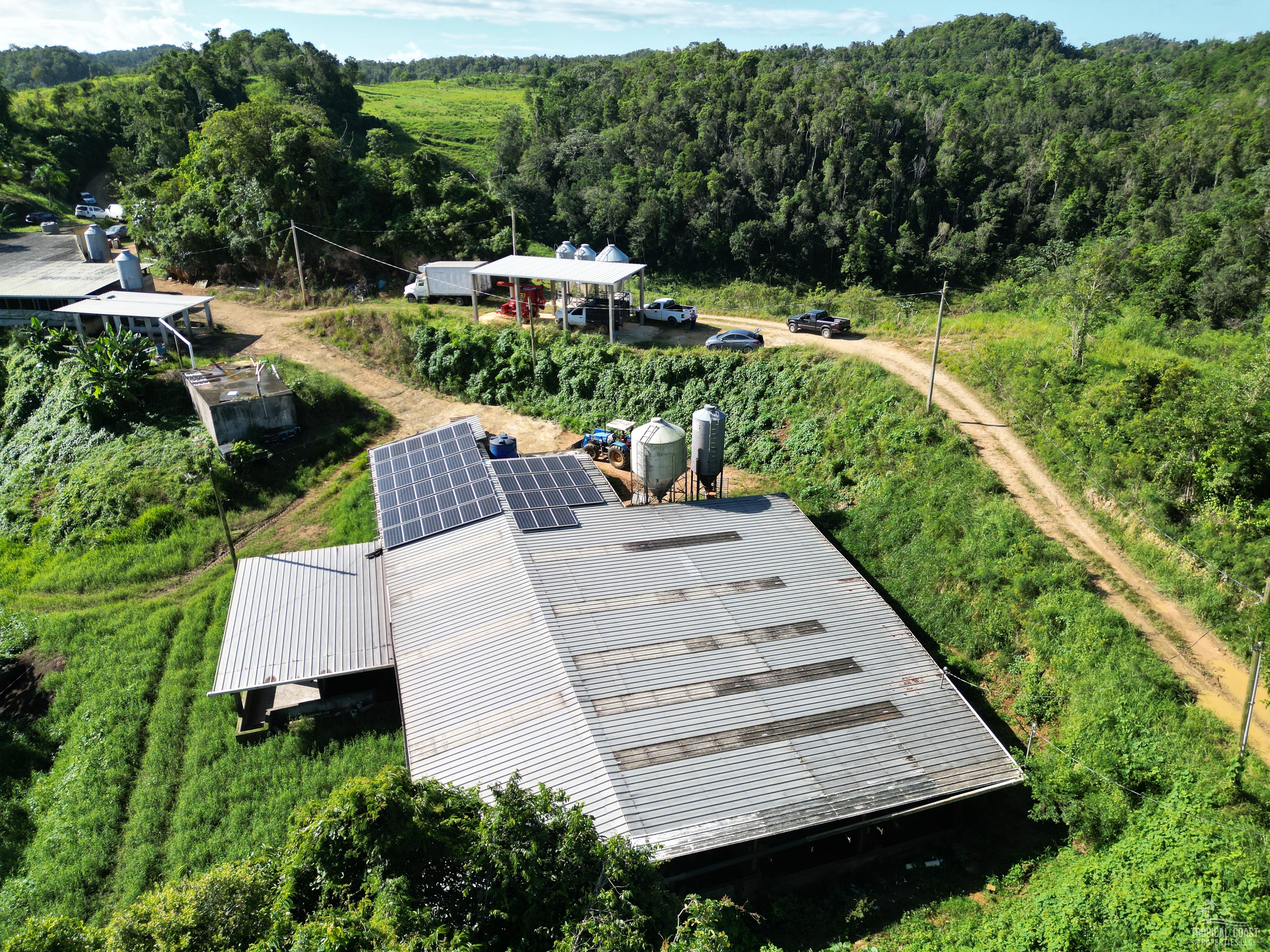 dji_fly_20221114_141204_314_1668652687800_photo