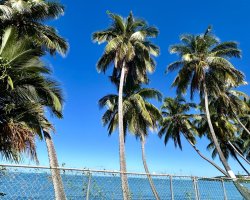 ImportedPhoto.749569335.404606