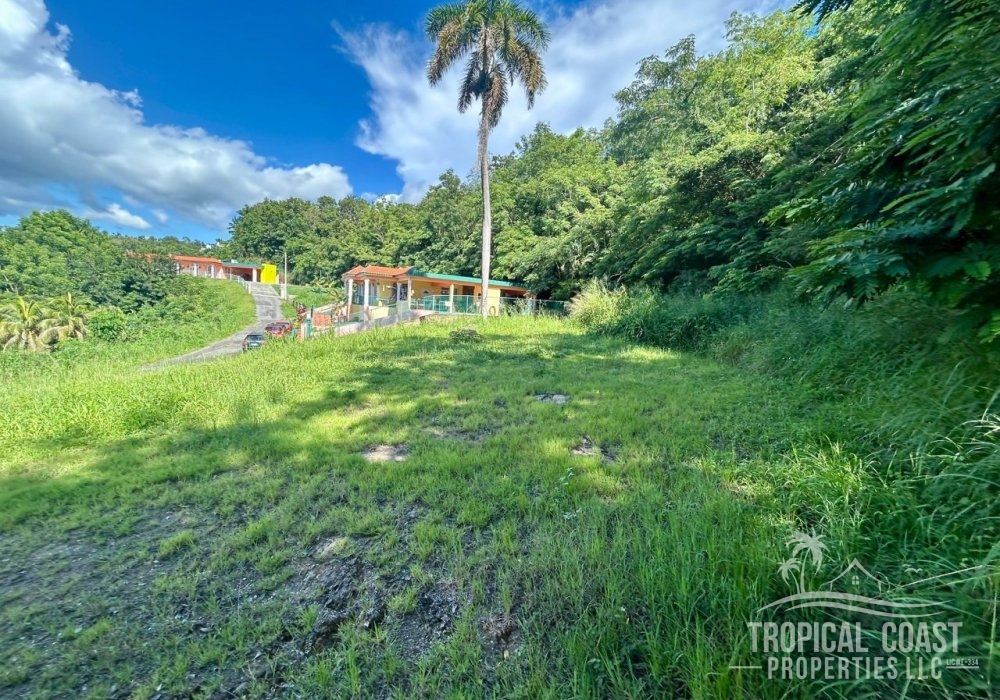 IMG-20251001-WA0086 IMG-20251001-WA0086