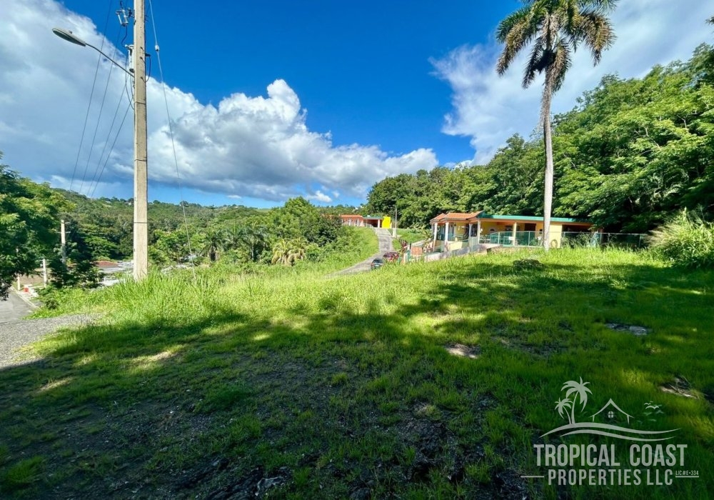 IMG-20251001-WA0087 IMG-20251001-WA0087