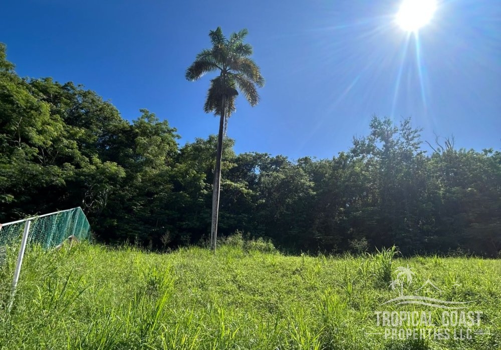 IMG-20251001-WA0088 IMG-20251001-WA0088