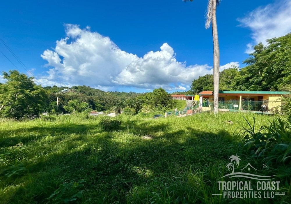 IMG-20251001-WA0090 IMG-20251001-WA0090