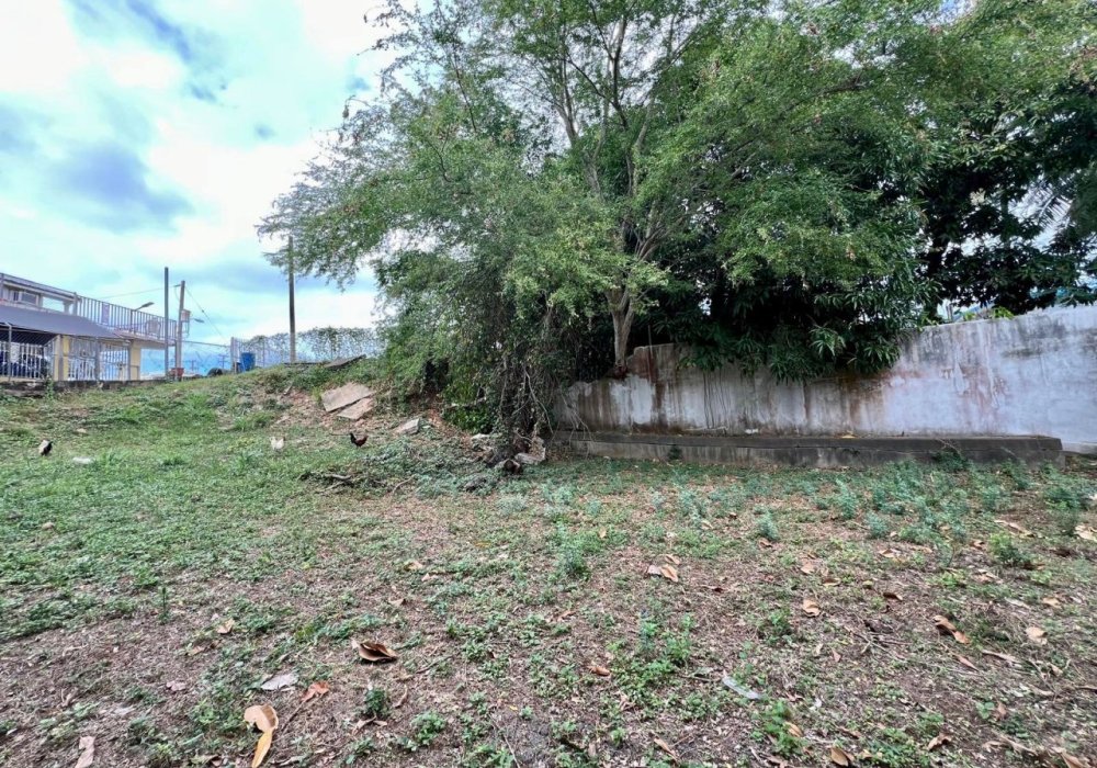 WhatsApp Image 2024-07-16 at 10.14.26 PM WhatsApp Image 2024-07-16 at 10.14.26 PM