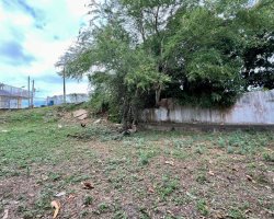 WhatsApp Image 2024-07-16 at 10.14.26 PM