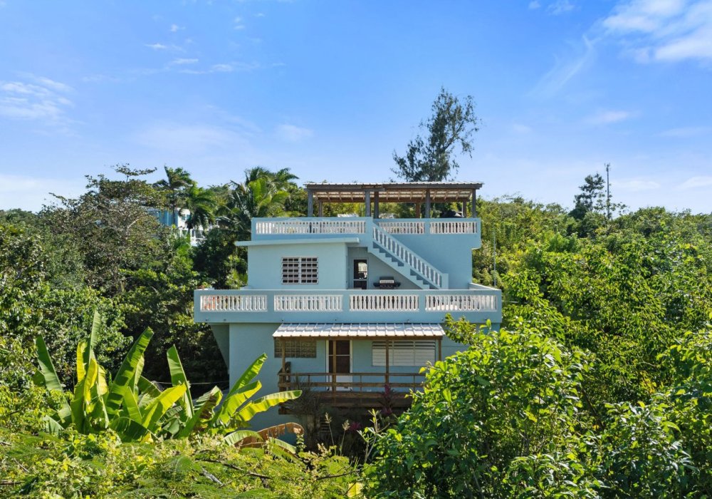 BACK BUILDING BACK BUILDING