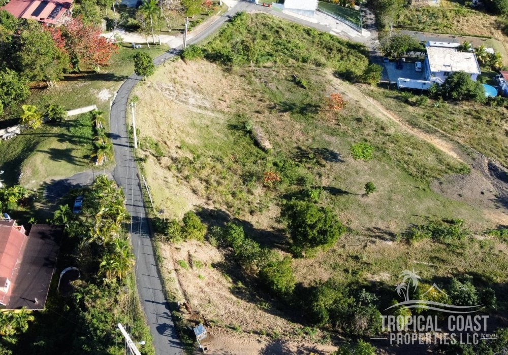 DJI_0937-2 (1) DJI_0937-2 (1)