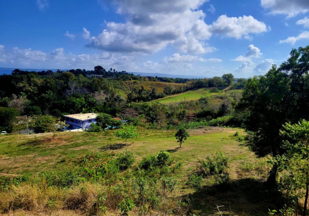 WhatsApp Image 2024-02-15 at 2.03.50 PM WhatsApp Image 2024-02-15 at 2.03.50 PM