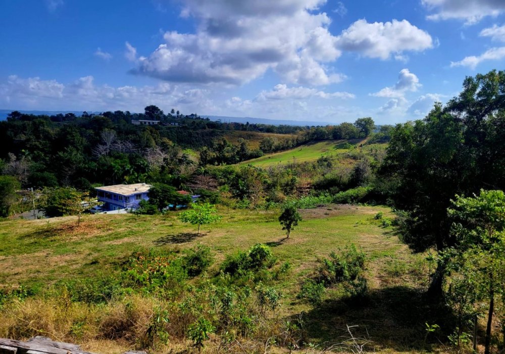 WhatsApp Image 2024-02-15 at 2.03.50 PM (1) WhatsApp Image 2024-02-15 at 2.03.50 PM (1)