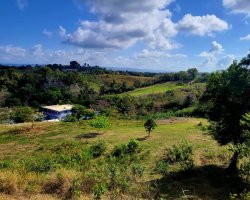 WhatsApp Image 2024-02-15 at 2.03.50 PM