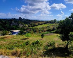 WhatsApp Image 2024-02-15 at 2.03.50 PM (1)