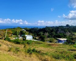 WhatsApp Image 2024-02-15 at 2.03.50 PM (2)