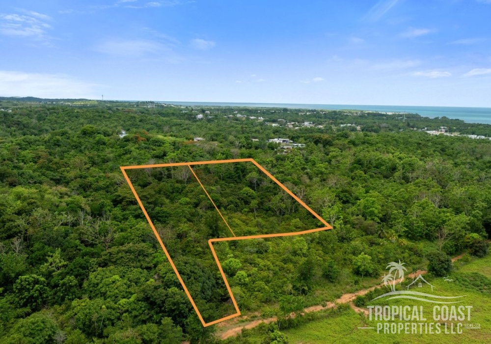 Where Privacy Meets Paradise—Land for Sale in Cabo Rojo 