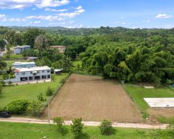 61413, Flat lot in Guayabo, Aguada