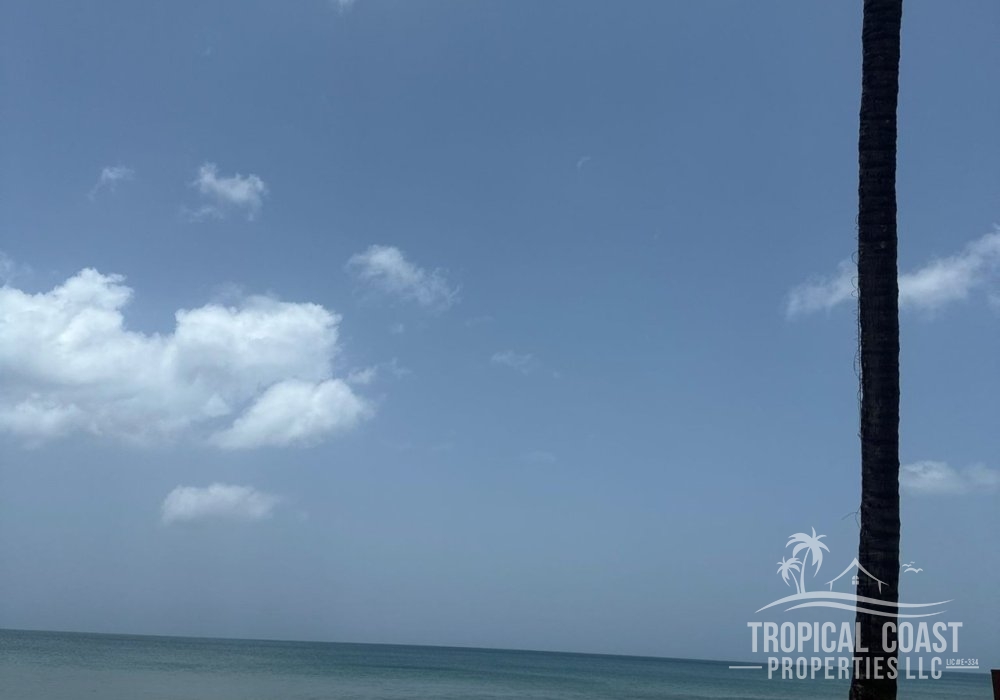 IMG-20250901-WA0018 IMG-20250901-WA0018