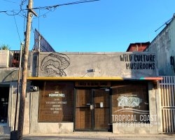 61523, Own a unique key to the future of wellness: Premier Mushroom Café & Farm 