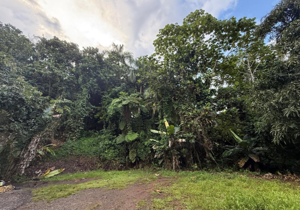 Investment in the west, 960 m² lot 