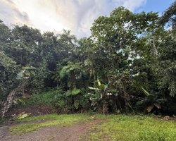 61603, Investment in the west, 960 m² lot 