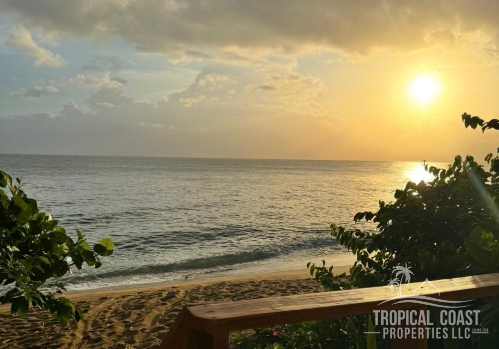 IMG-20251003-WA0003 IMG-20251003-WA0003