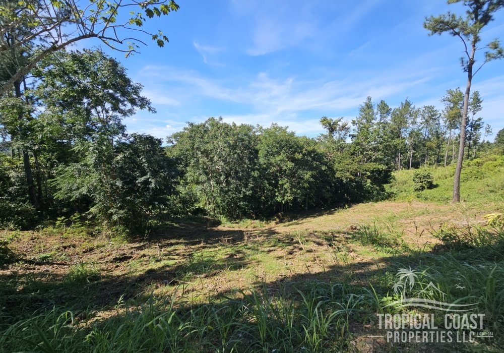 20231230_125638 (2) 20231230_125638 (2)