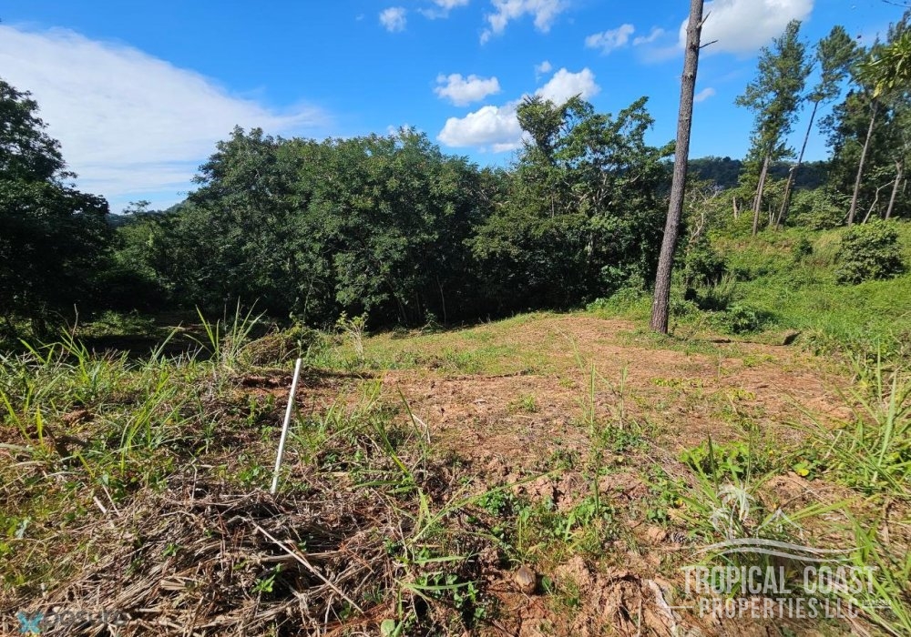 5680303_1704911247990 5680303_1704911247990