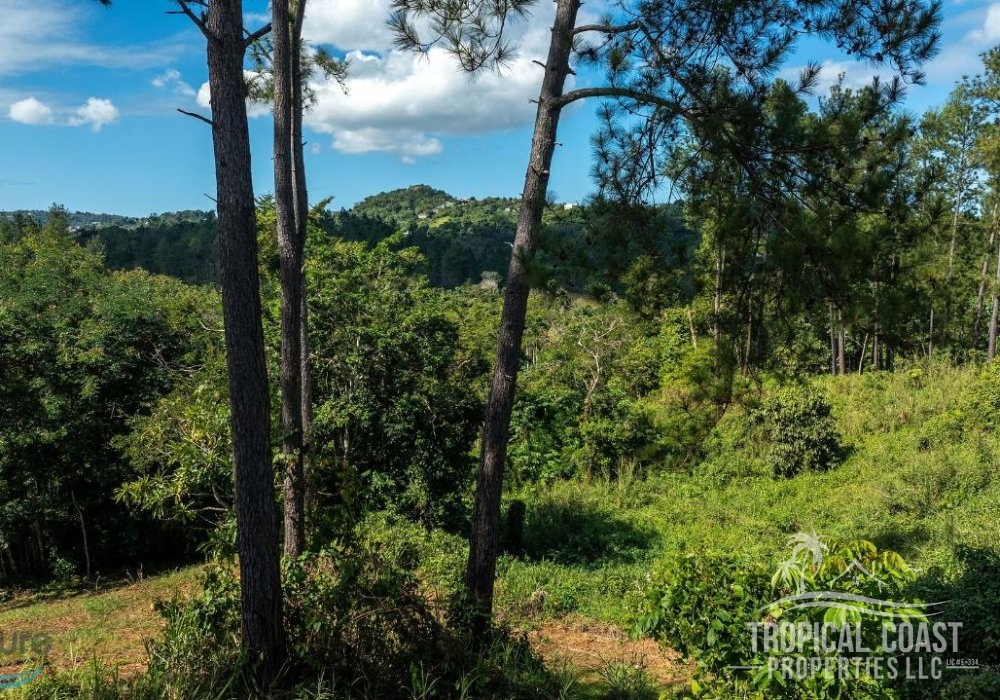 5680304_1704911250702 5680304_1704911250702