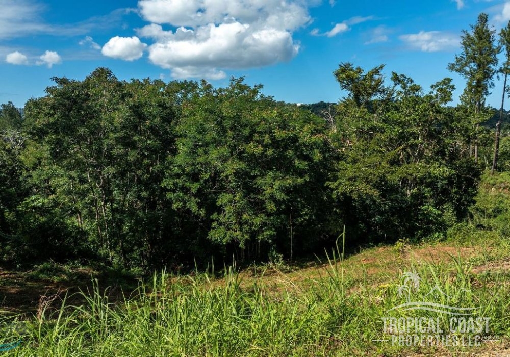 5680305_1704911253575 5680305_1704911253575