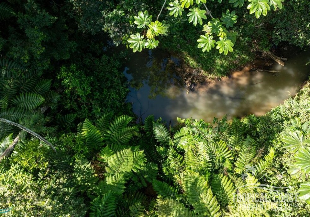 5680307_1704911256999 5680307_1704911256999