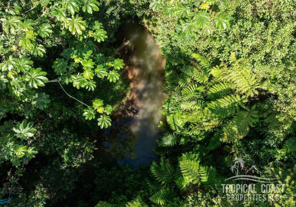 5680308_1704911260958 5680308_1704911260958